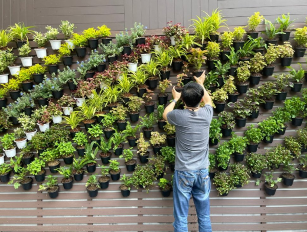 Taman Vertical Garden Dinding